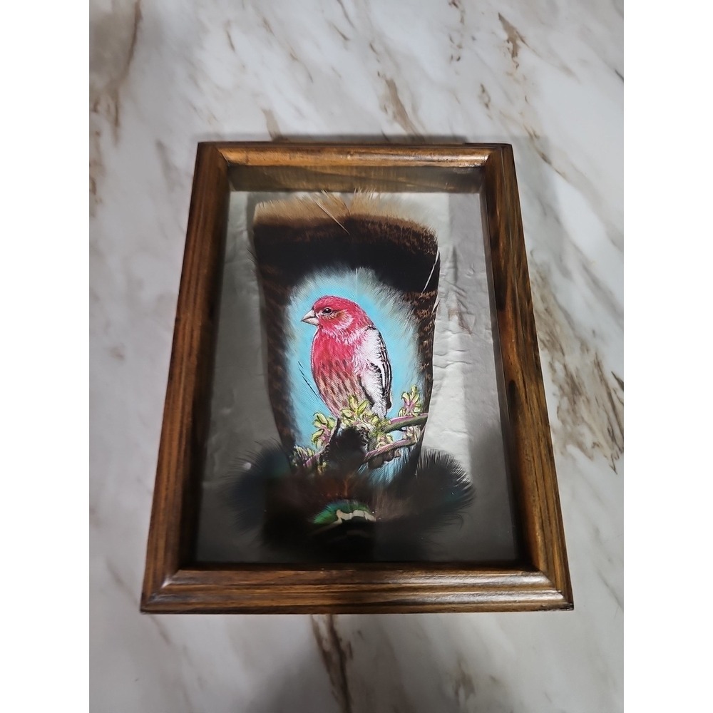 Hand Painted Feather Wall Art American West Indian Bird Framed/Signed 2014